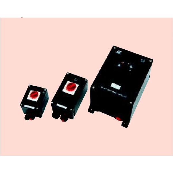 explosion proof switch series BZZ8050
